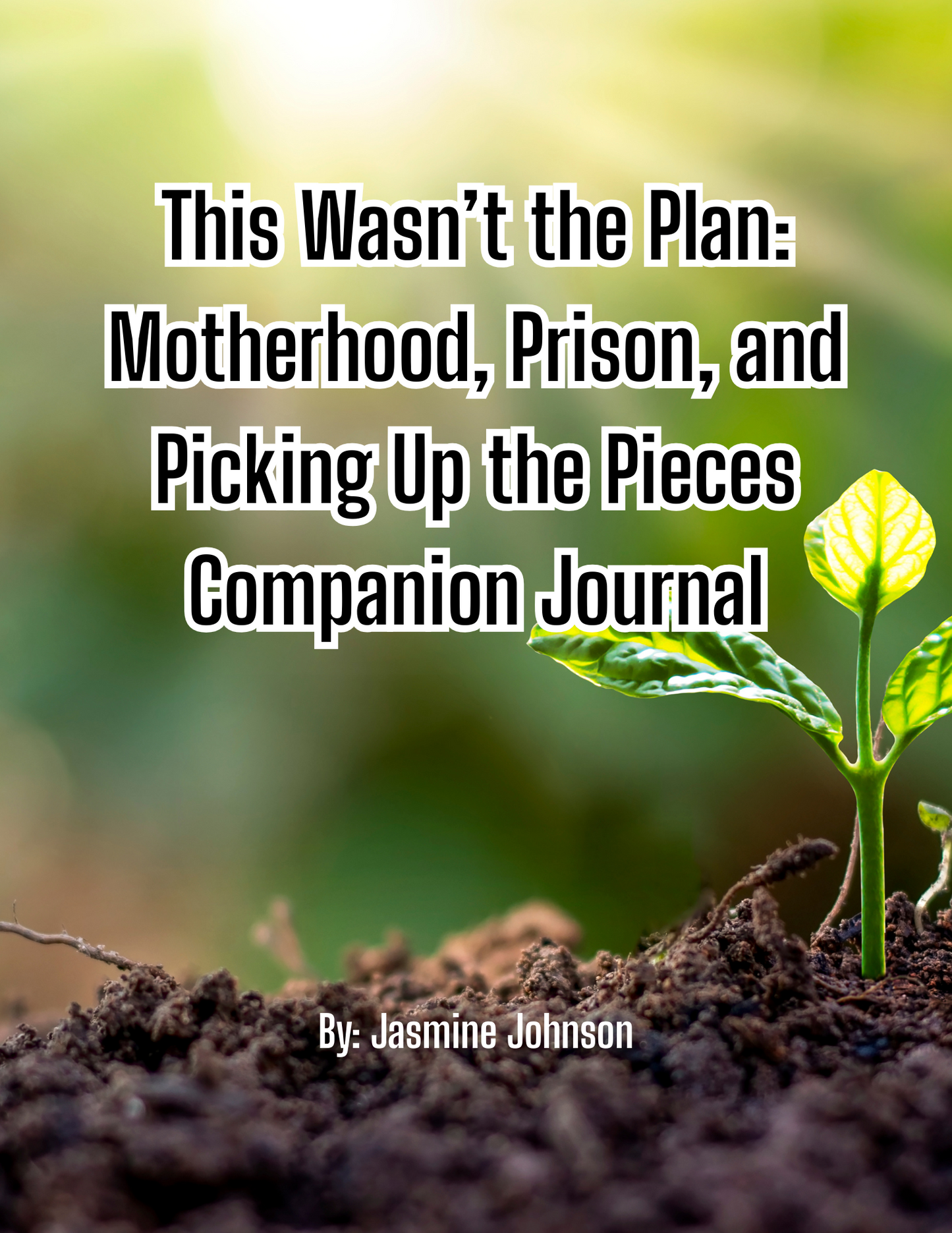 This Wasn’t The Plan Companion Journal